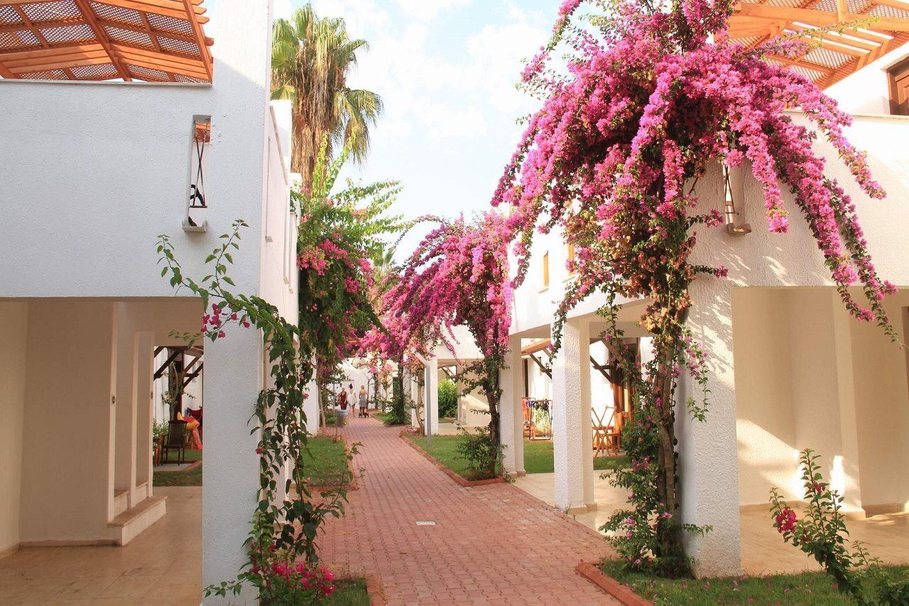 קונאקלי Club Kastalia Holiday Village מראה חיצוני תמונה
